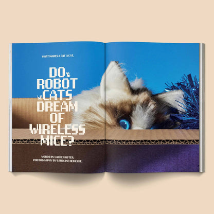 🔥Last Day 49% OFF - 🐱 Catnip Magazine Series