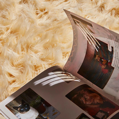 🔥Last Day 49% OFF - 🐱 Catnip Magazine Series