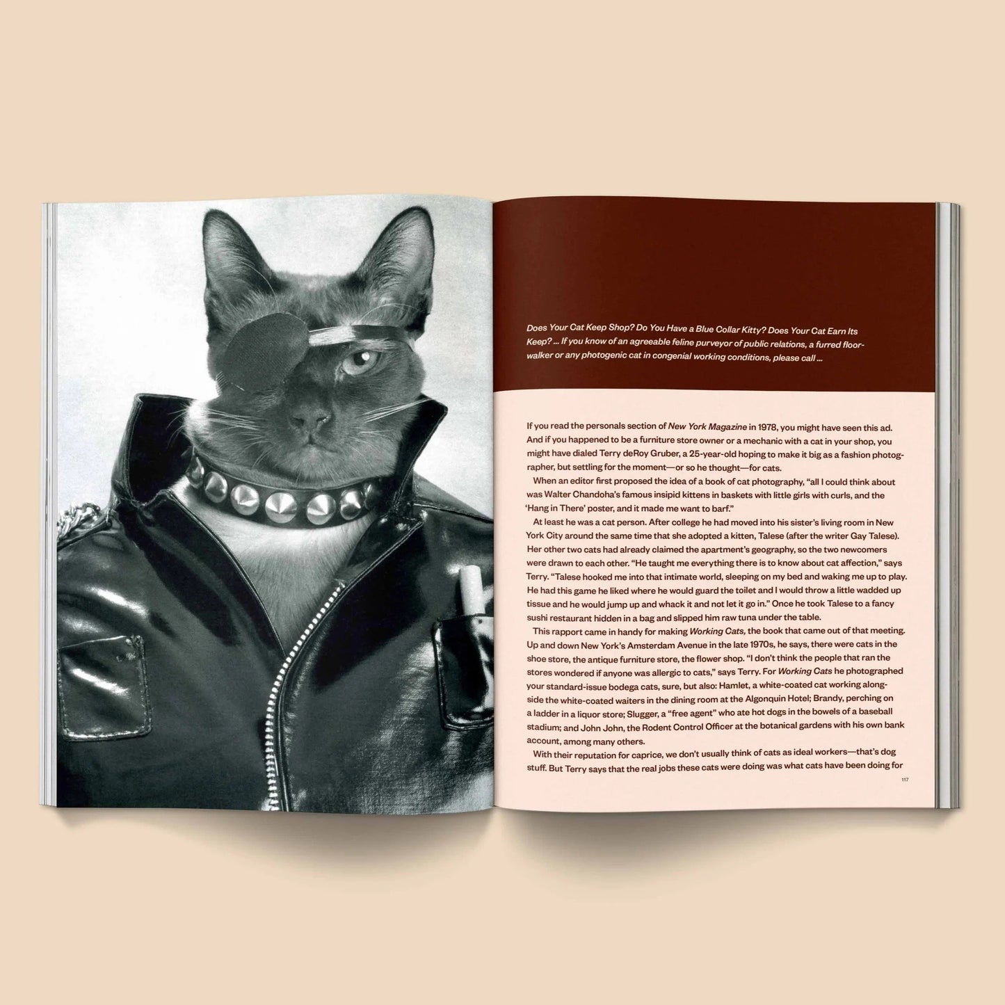 🔥Last Day 49% OFF - 🐱 Catnip Magazine Series