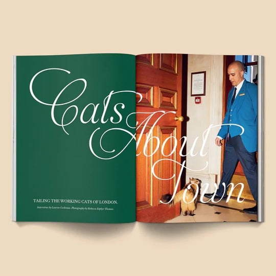 🔥Last Day 49% OFF - 🐱 Catnip Magazine Series