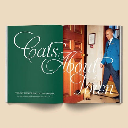 🔥Last Day 49% OFF - 🐱 Catnip Magazine Series
