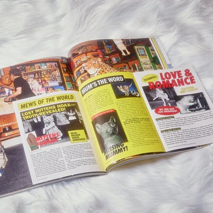 🔥Last Day 49% OFF - 🐱 Catnip Magazine Series
