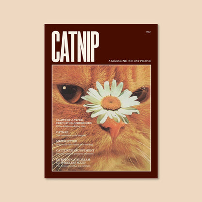 🔥Last Day 49% OFF - 🐱 Catnip Magazine Series