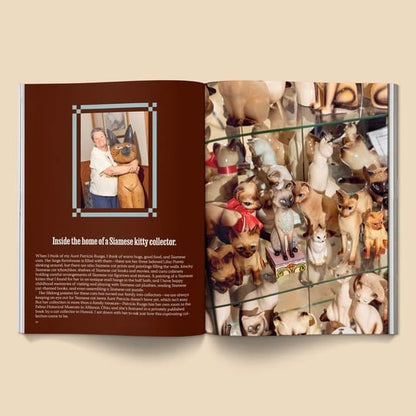 🔥Last Day 49% OFF - 🐱 Catnip Magazine Series