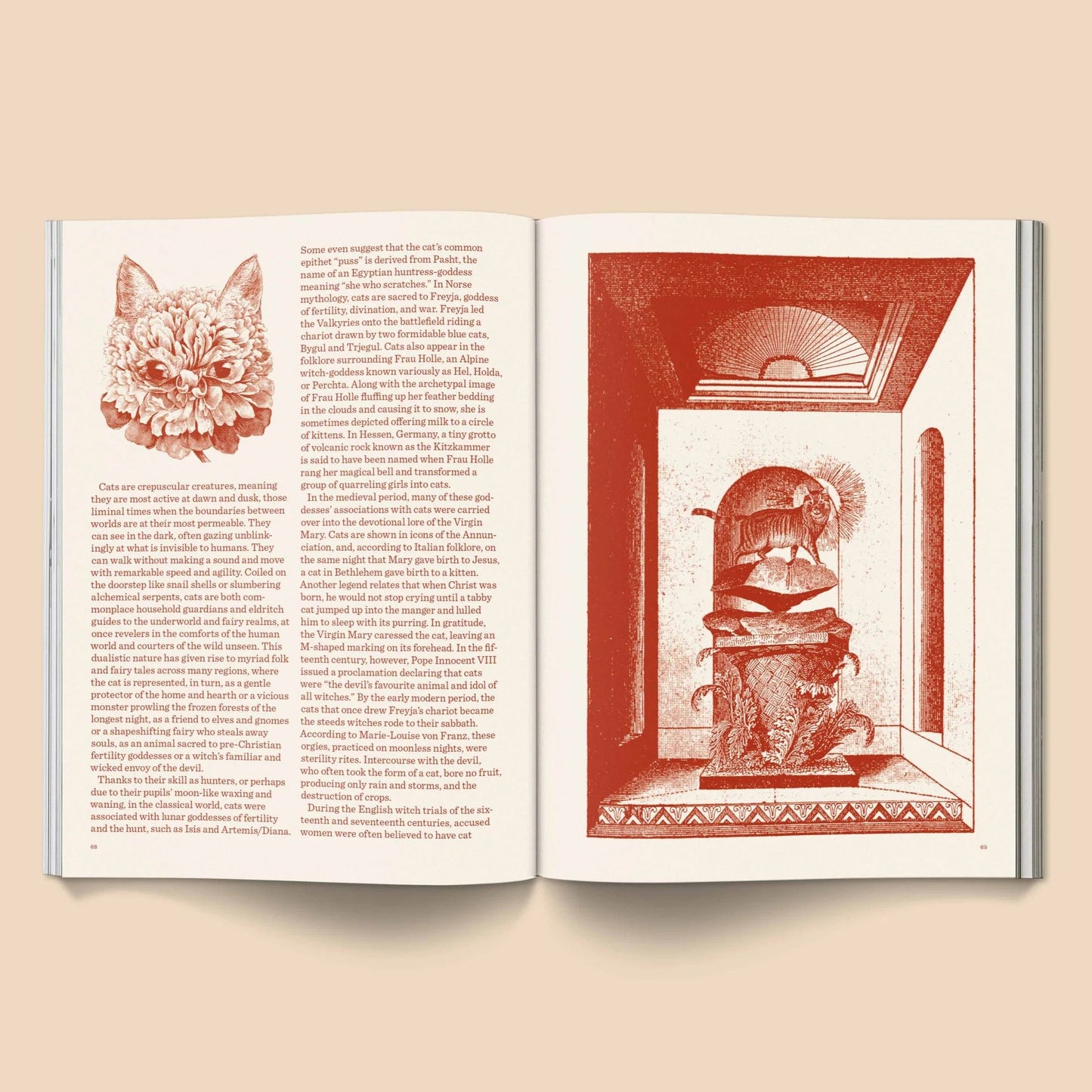 🔥Last Day 49% OFF - 🐱 Catnip Magazine Series