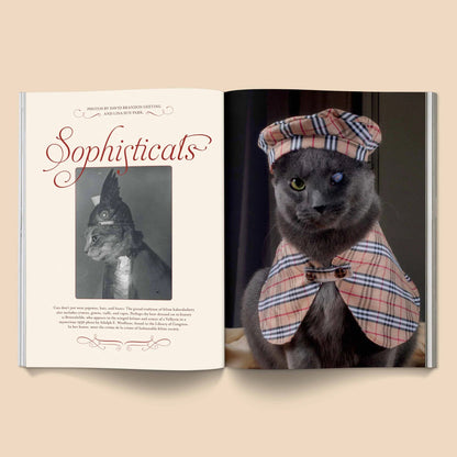 🔥Last Day 49% OFF - 🐱 Catnip Magazine Series
