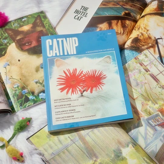🔥Last Day 49% OFF - 🐱 Catnip Magazine Series