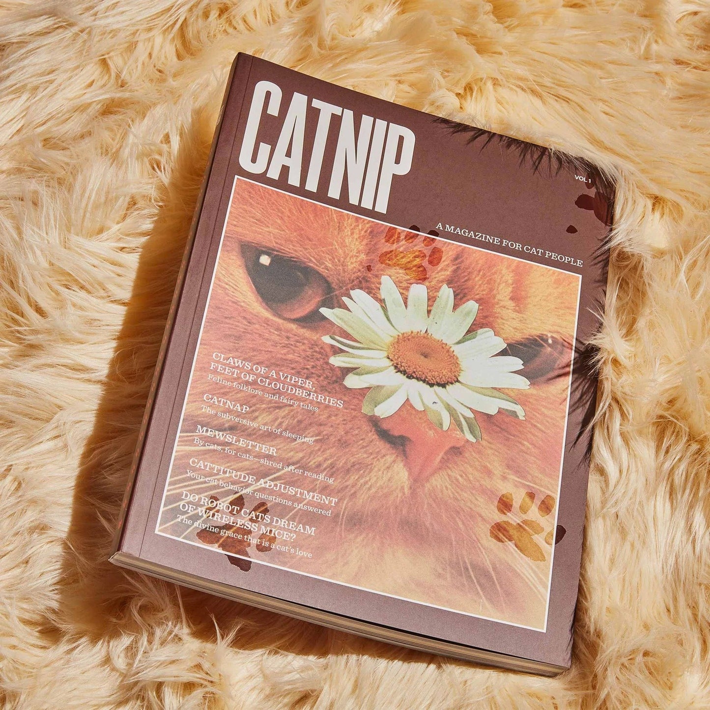 🔥Last Day 49% OFF - 🐱 Catnip Magazine Series