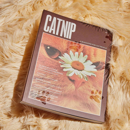🔥Last Day 49% OFF - 🐱 Catnip Magazine Series