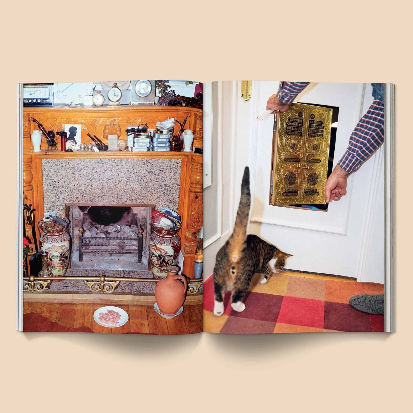 🔥Last Day 49% OFF - 🐱 Catnip Magazine Series