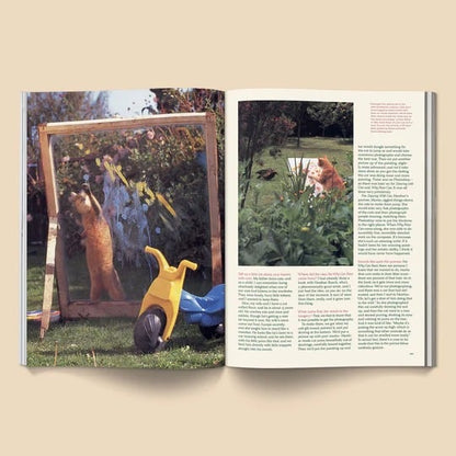 🔥Last Day 49% OFF - 🐱 Catnip Magazine Series