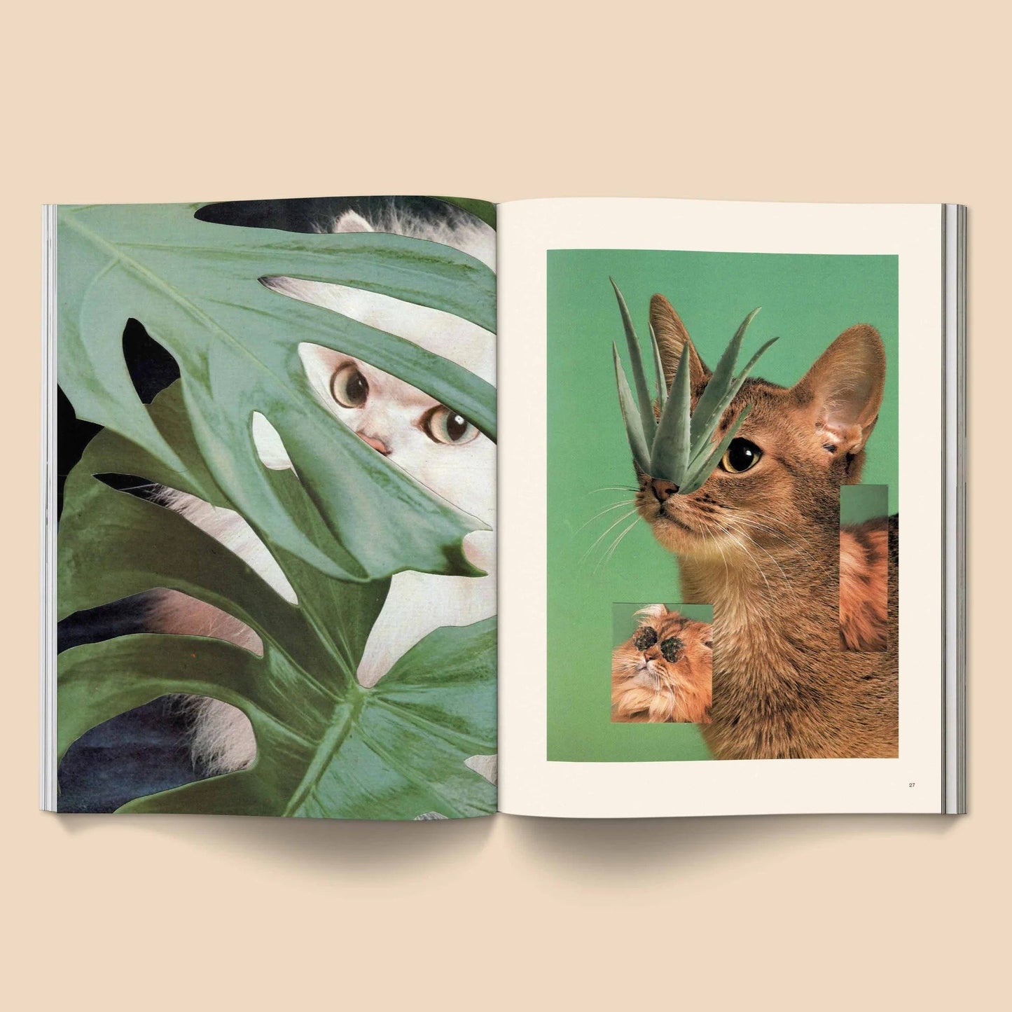 🔥Last Day 49% OFF - 🐱 Catnip Magazine Series