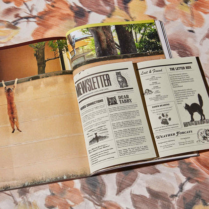 🔥Last Day 49% OFF - 🐱 Catnip Magazine Series