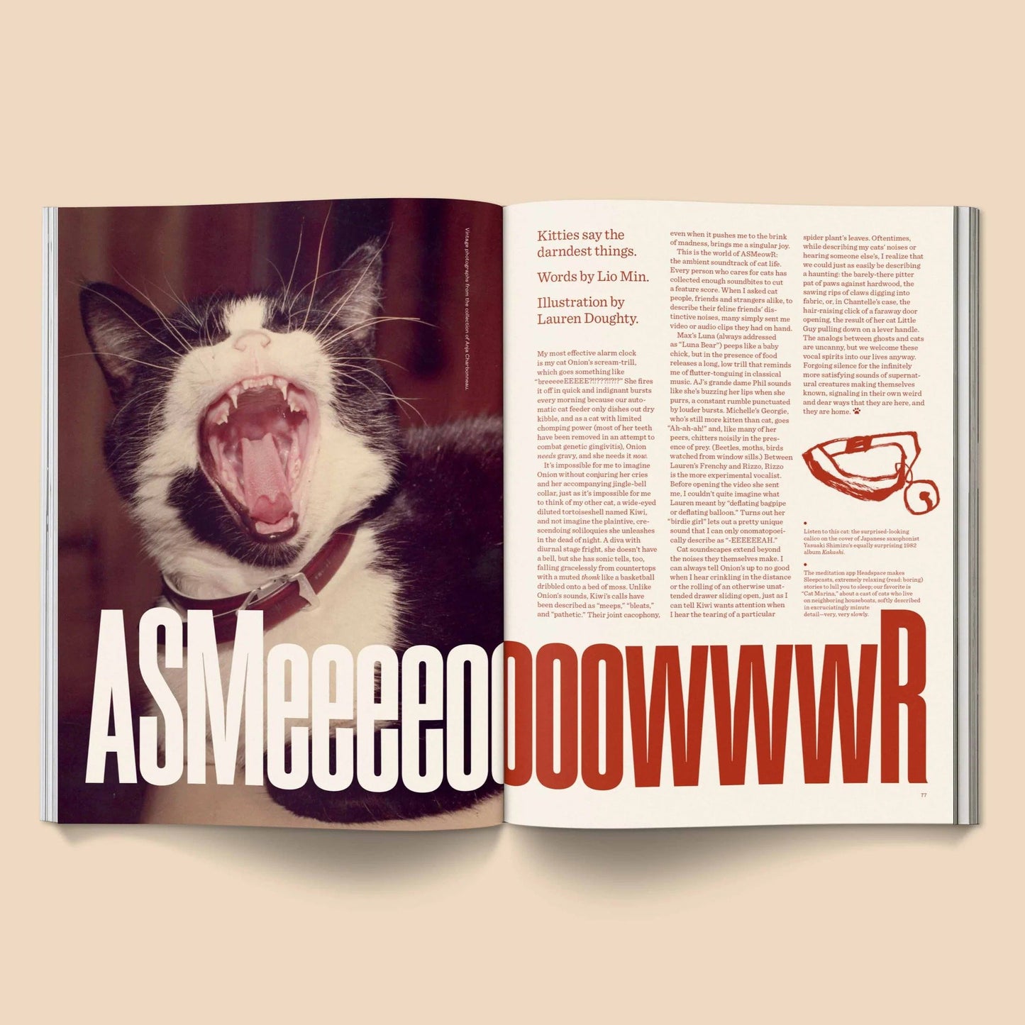 🔥Last Day 49% OFF - 🐱 Catnip Magazine Series