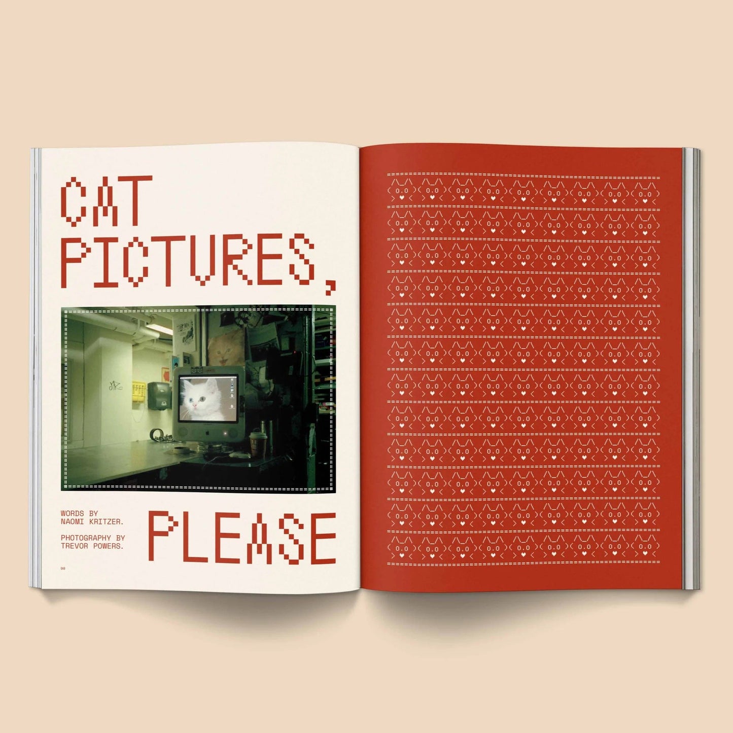 🔥Last Day 49% OFF - 🐱 Catnip Magazine Series