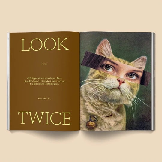 🔥Last Day 49% OFF - 🐱 Catnip Magazine Series